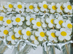 Daisy Flower Cookies in Paddle Pop Sticks