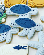 Turtle Cookies